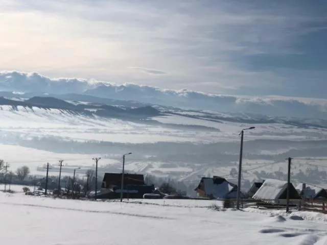 Dom U Wiecha Chalet *